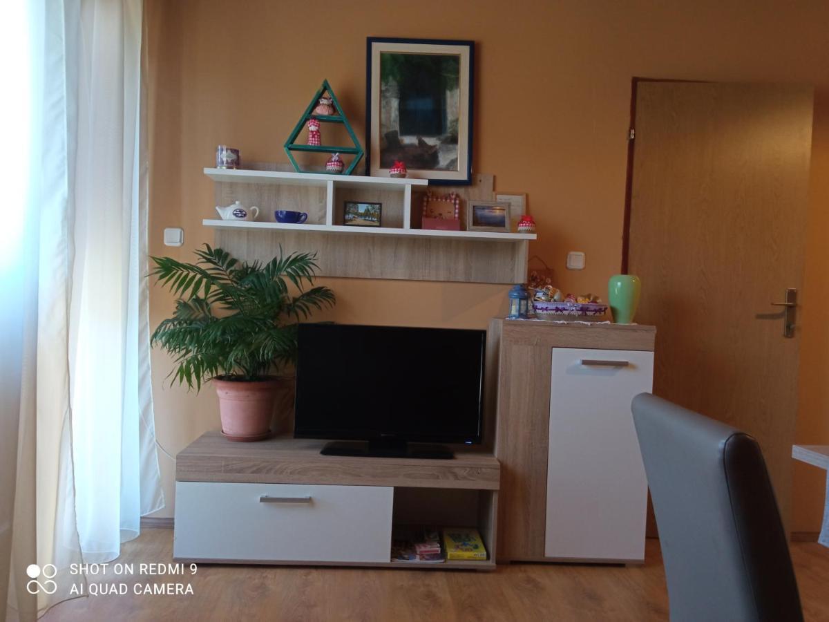 Ruza Apartman *