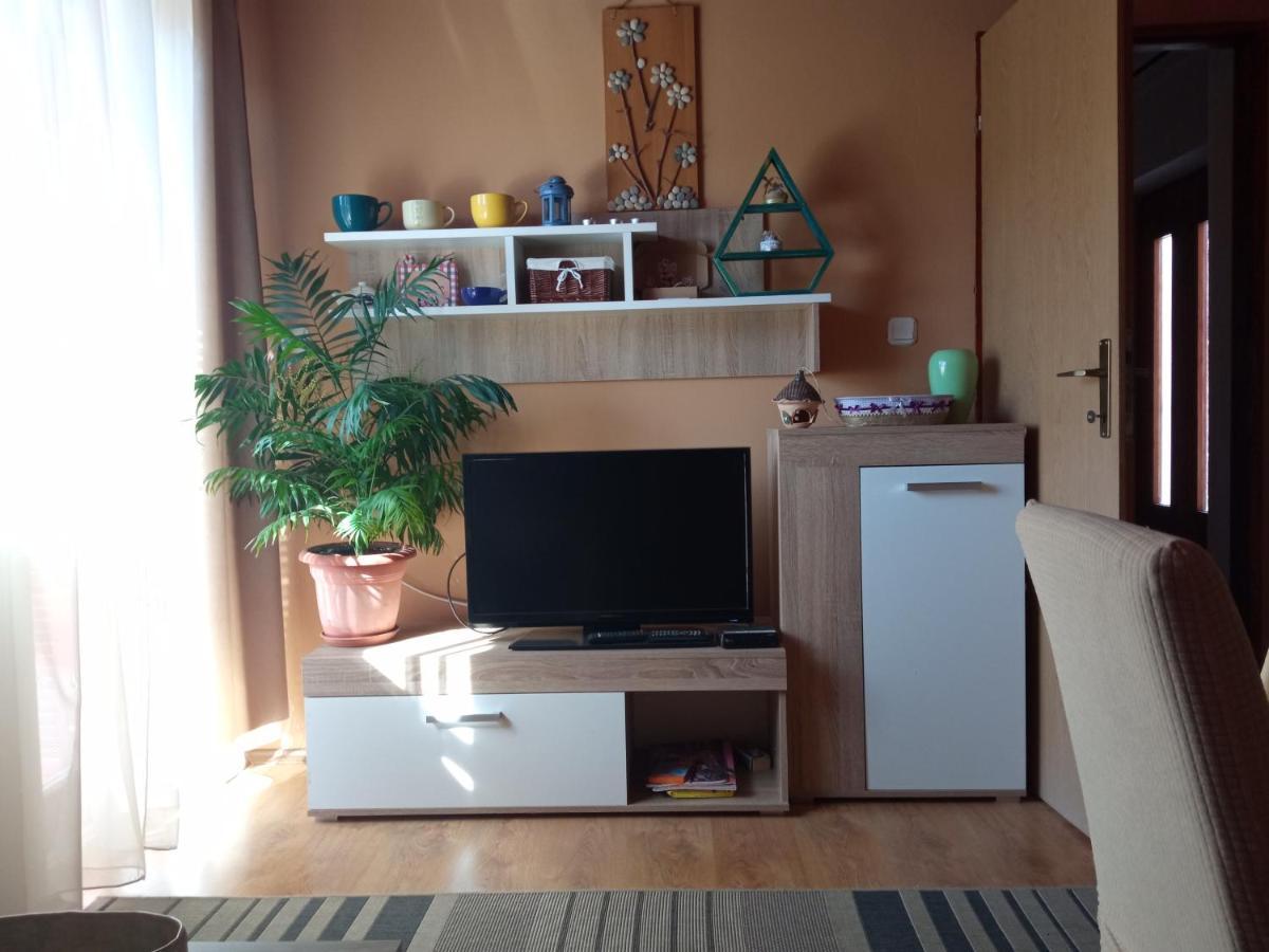 Apartment Ruza
